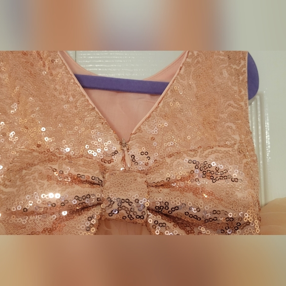 Toddler Girls Sequins & Tulle Flower Girl Dress with Sequin Bow size 2T - Picture 7 of 10